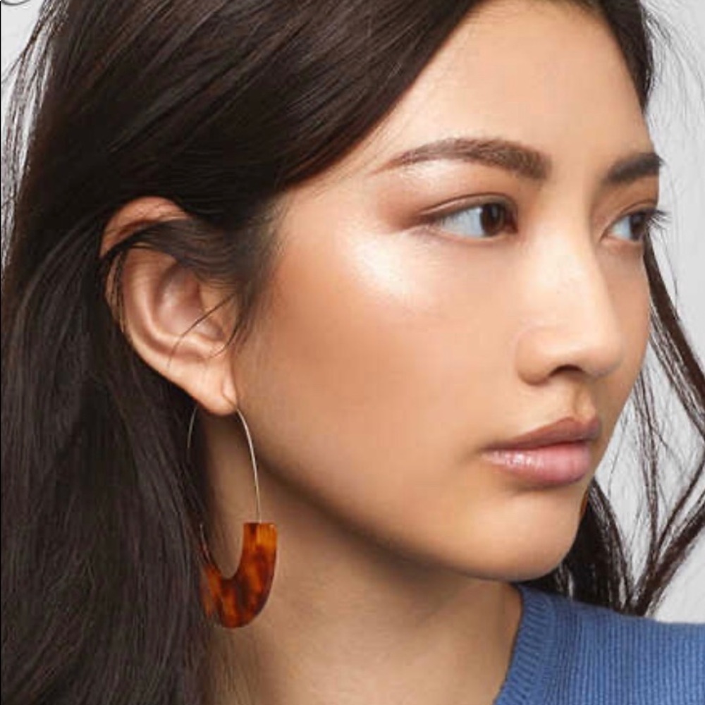Modern Acrylic U shaped risen earrings